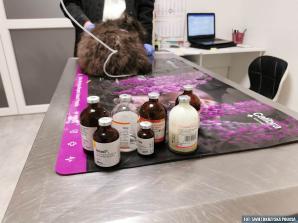 [VIDEO] Wyrzucił psa z auta. Policjant nagrał video. Został pociągnięty do odpowiedzialności