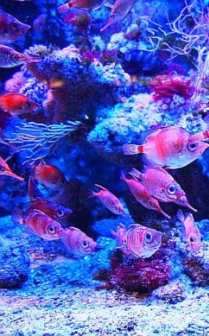 Dziwaczne miejsca noclegowe – do wyboru, do koloru