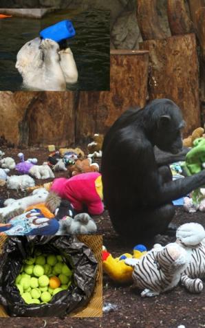 Wtorki „dniem zabawek” w warszawskim zoo