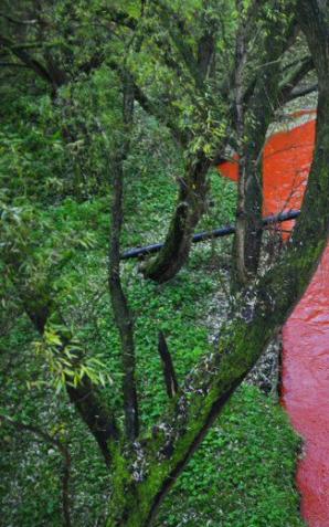 [VIDEO]Czerwona rzeka w Koszalinie. Doszło do poważnego zanieczyszczenia! 