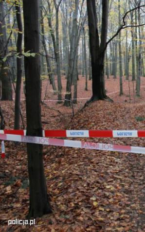 Ciało mężczyzny w katowickim lesie. Trwa śledztwo