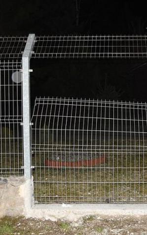 Postanowili zwiedzić ZOO pomimo tego, że było zamknięte