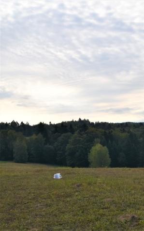 Drony z Ukrainy znowu w akcji