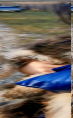 [VIDEO] Wyrzucił psa z auta. Policjant nagrał video. Został pociągnięty do odpowiedzialności