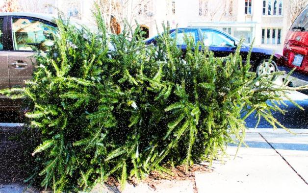 Skruszony złodziej przesłał przeprosiny i pieniądze... Podsumowanie akcji Choinka 2015!