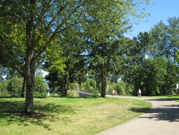 W polskich miastach ubywa parków. Nie ma już miejsca na zakładanie dużych terenów zielonych