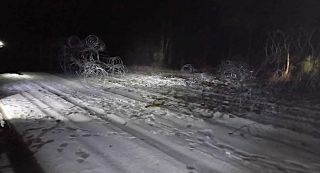 Szturm na polską granicę. 13 cudzoziemców - ob. Iraku i Syrii,  z pomocą służb białoruskich przecięła concertinę, a następnie przeszła na polską stronę